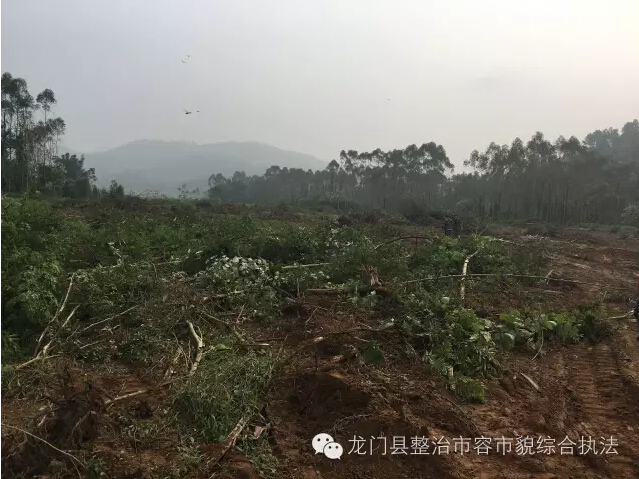 住建局、城监大队保障仁深高速道路清表施工行动简报