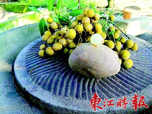     龙门县路溪沈村出产的石硖龙眼，远近驰名，其肉厚爽脆，浓甜带蜜，品质较佳。